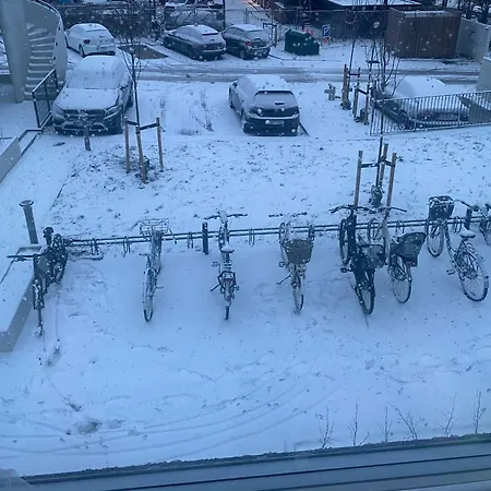 Quantum Dimension Alloggio in famiglia *